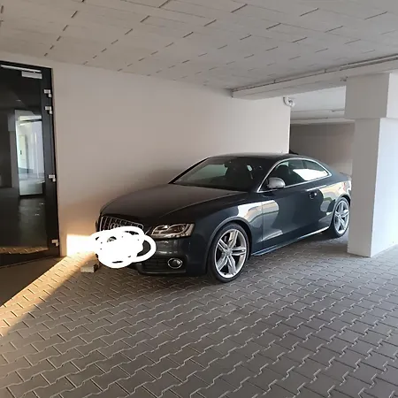 Silver * 佐洛埃格塞格
