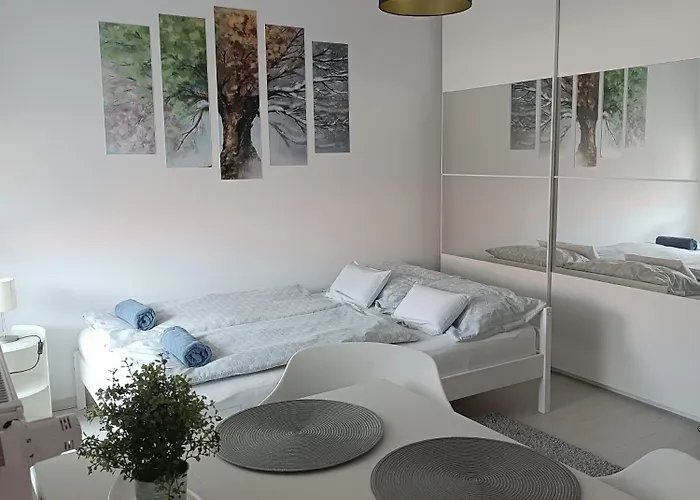 Silver Apartament *